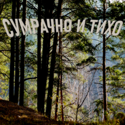 Сумрачно и тихо